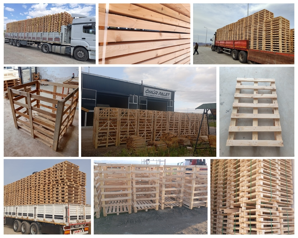 Fishbourne Wooden Pallets, Buy Wooden Pallets Wholesale